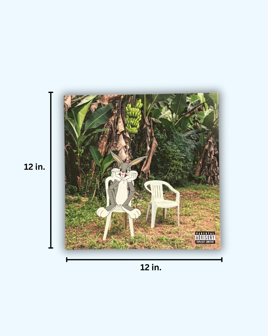 MOre FOtos 12 Inch
